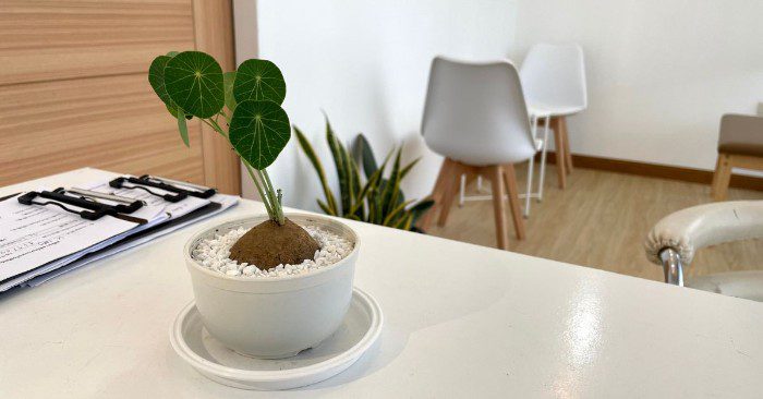 Overall wellness should be the prime goal of every clinic.