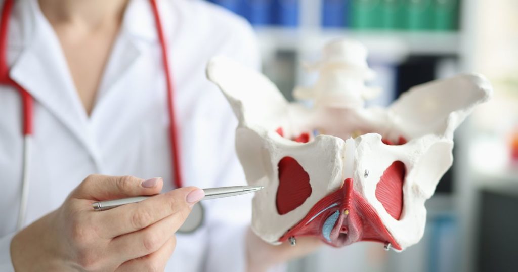 pelvic floor physiotherapy